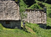 Randonnées à VTT dans le Livradois-Forez